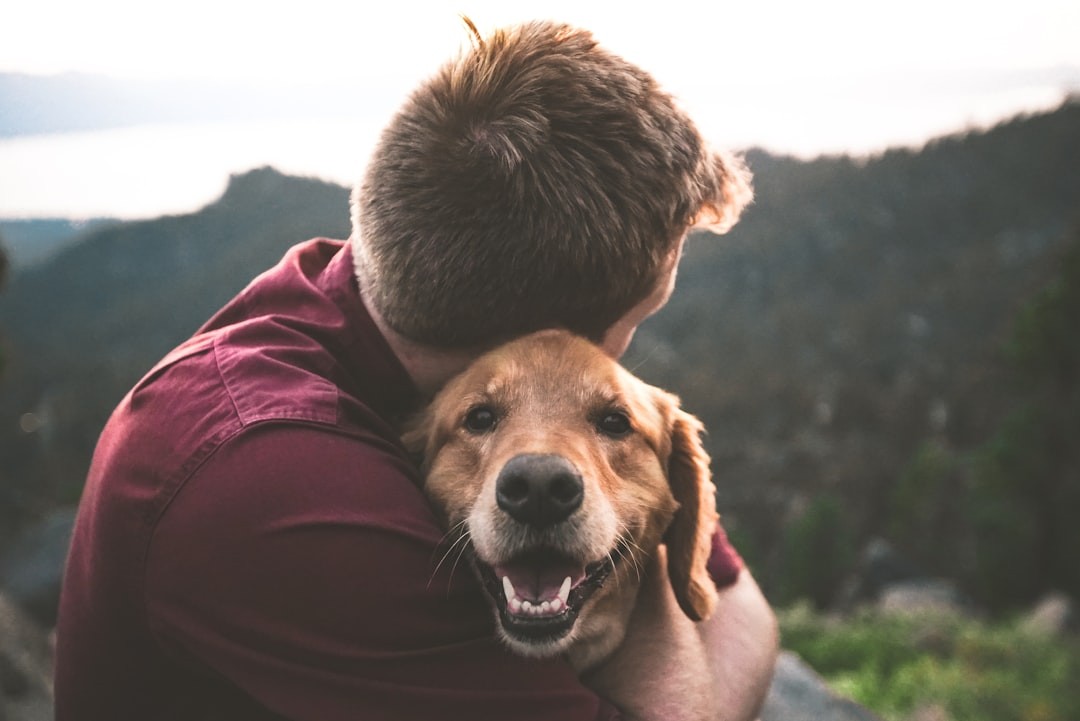 The Happy Doggo